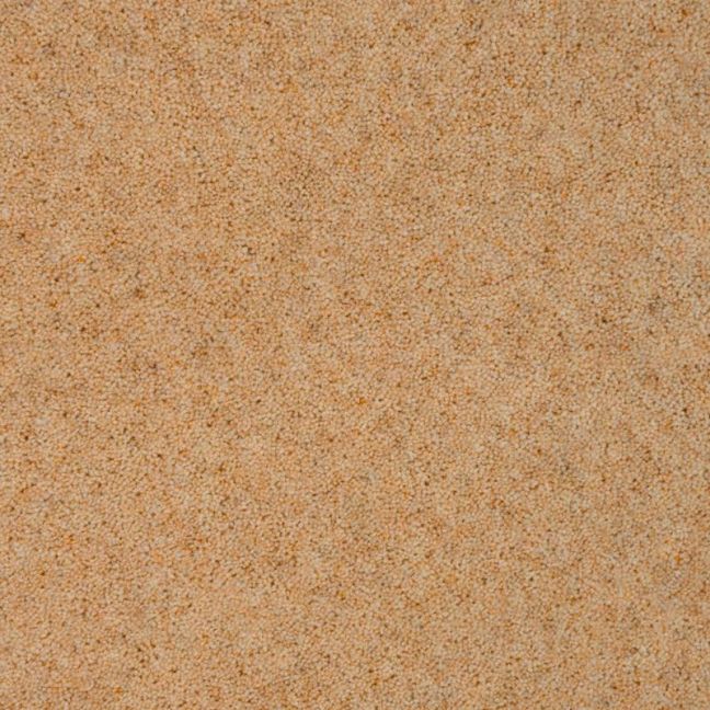Penthouse Carpets Vermont Memphis 60oz Penthouse Carpets Vermont Memphis 60oz
