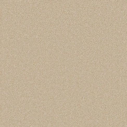 Cormar Carpet Co Primo Naturals Miami Beach Cormar Carpet Co Primo Naturals Miami Beach