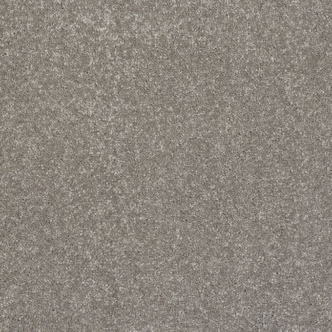 Mocha Mocha
