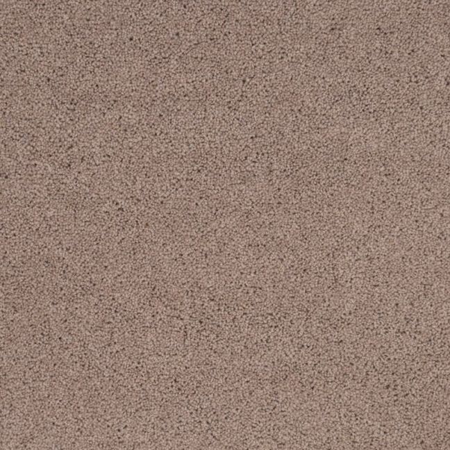 Penthouse Carpets Pentwist Naturals Moleskin 40oz