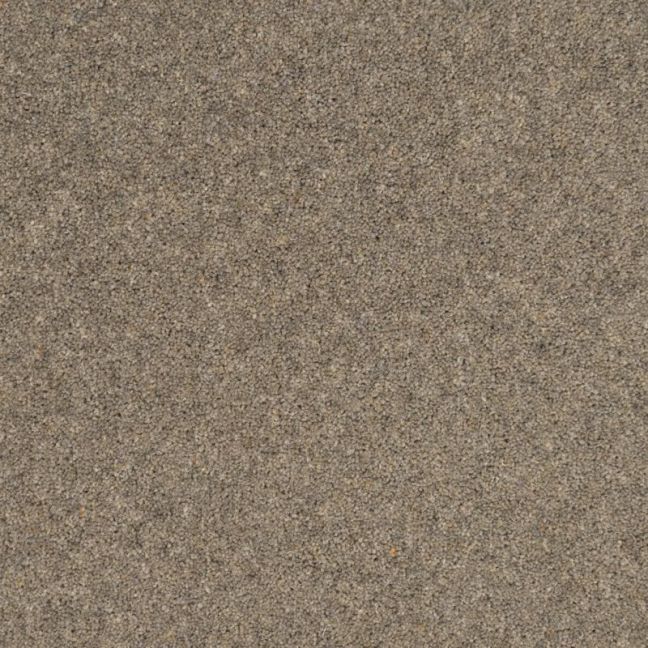 Penthouse Carpets Shoreline Nautilus 40oz