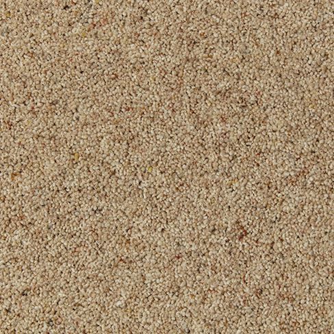 Cormar Carpet Co Natural Berber Twist Elite Chamois
