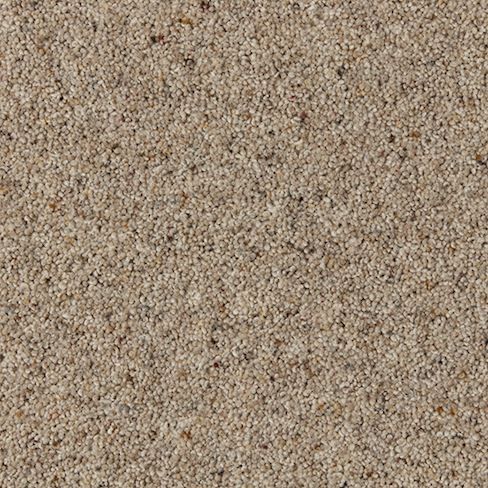 Cormar Carpet Co Natural Berber Twist Deluxe Mohair