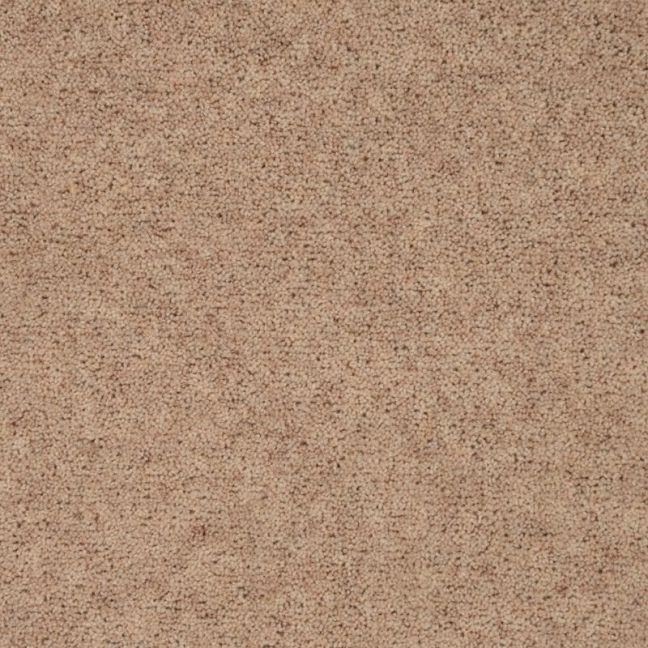 Penthouse Carpets Vermont Oakland 50oz Penthouse Carpets Vermont Oakland 50oz