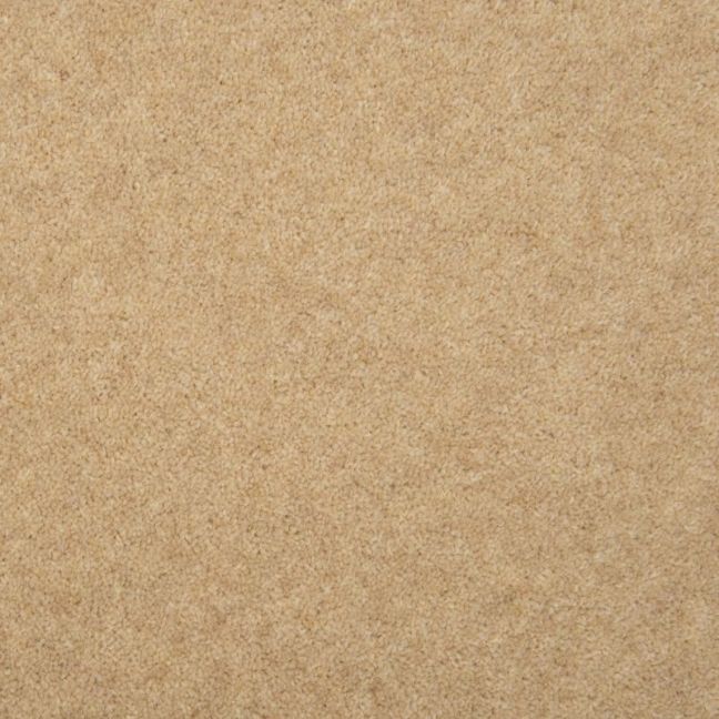 Penthouse Carpets Esprit Nouveau Omega 75oz