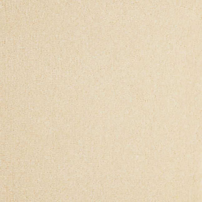 Westex Carpet Pure Luxury Wool Opulence Ivory Westex Carpet Pure Luxury Wool Opulence Ivory