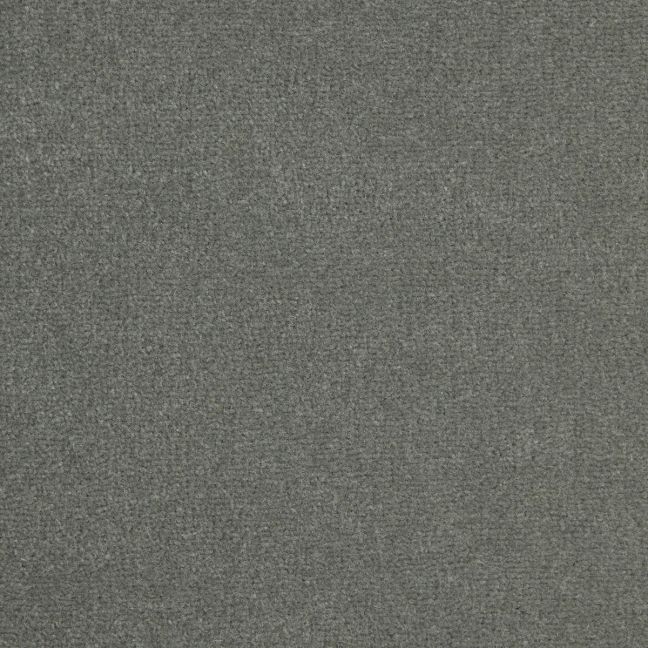 Westex Carpet Pure Luxury Wool Opulence Platinum Westex Carpet Pure Luxury Wool Opulence Platinum