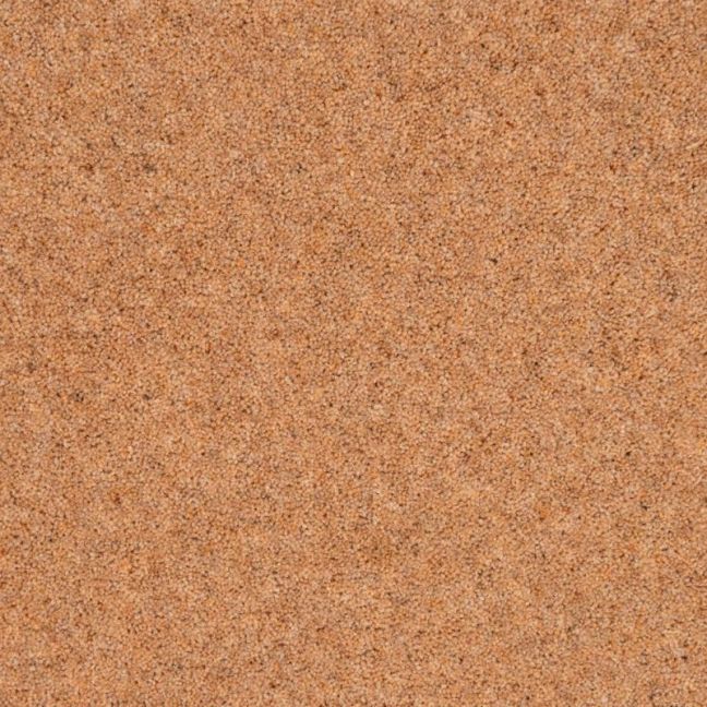 Penthouse Carpets Wentworth Parkstone 50oz