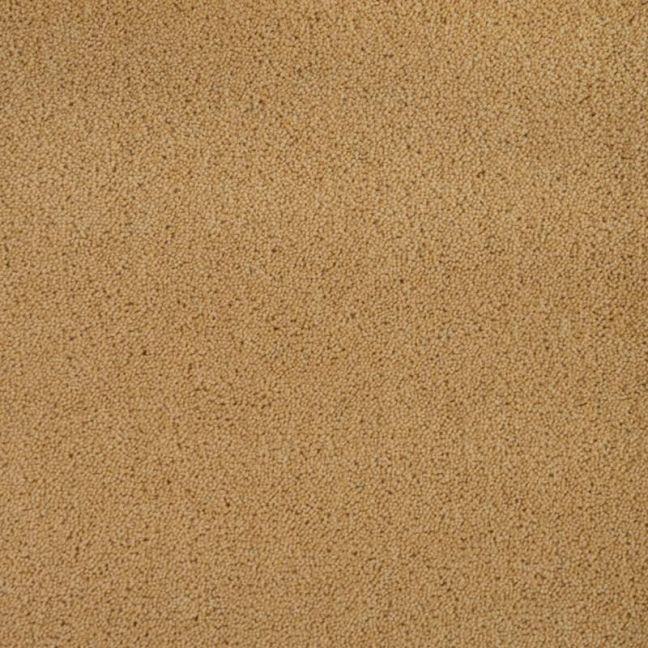 Penthouse Carpets Pentwist Colours Pearl 40oz Penthouse Carpets Pentwist Colours Pearl 40oz