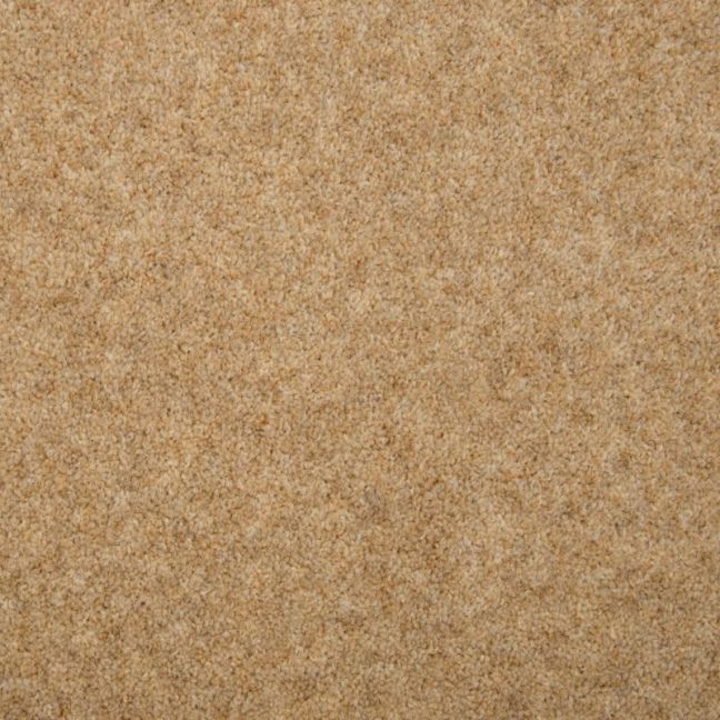 Penthouse Carpets Esprit Nouveau Pegasus 50oz