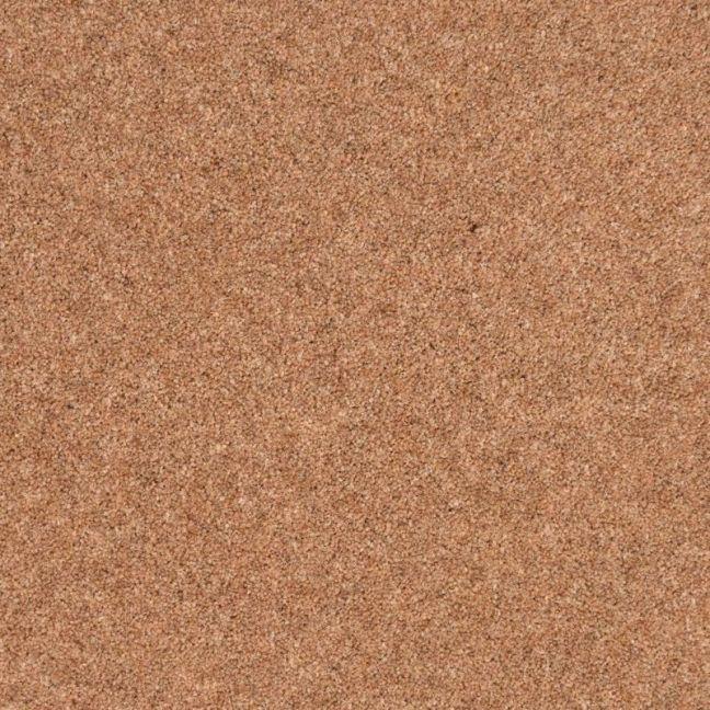 Penthouse Carpets Cumbrian Penrith 50oz