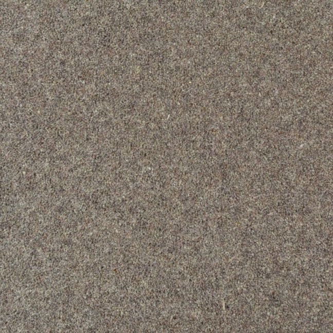 Penthouse Carpets Seasons Equinox Penthouse Carpets Seasons Equinox