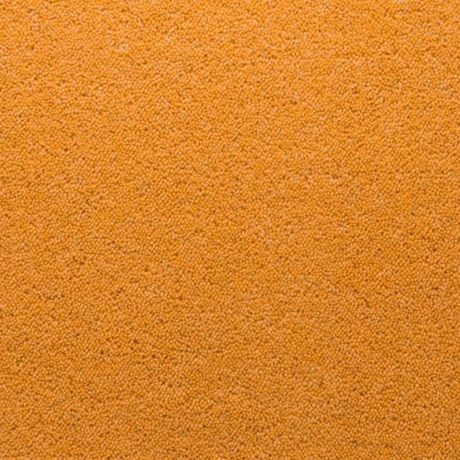 Penthouse Carpets Stateside Goldsboro 40oz Penthouse Carpets Stateside Goldsboro 40oz