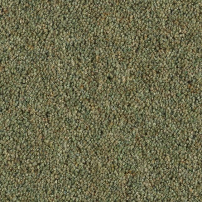 Penthouse Carpets Carlton Palm Leaf 42oz Penthouse Carpets Carlton Palm Leaf 42oz