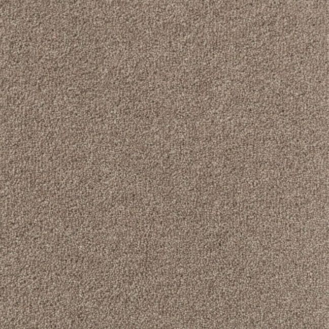 Penthouse Carpets Colorado Bayfield 45oz Penthouse Carpets Colorado Bayfield 45oz