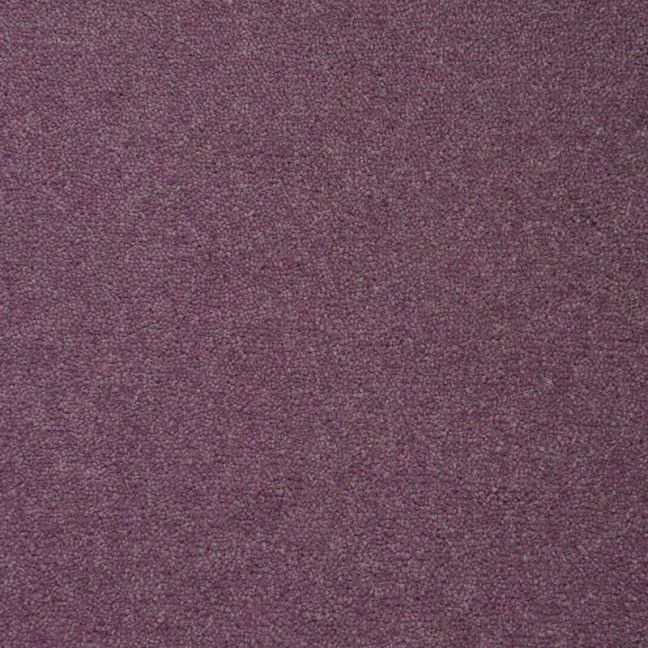 Penthouse Carpets Colorado Delta 55oz