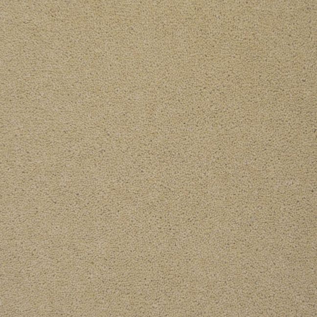 Penthouse Carpets Colorado Longmount 55oz