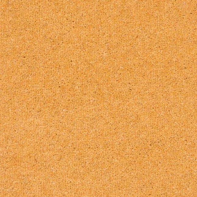 Penthouse Carpets Prism Amber 40oz