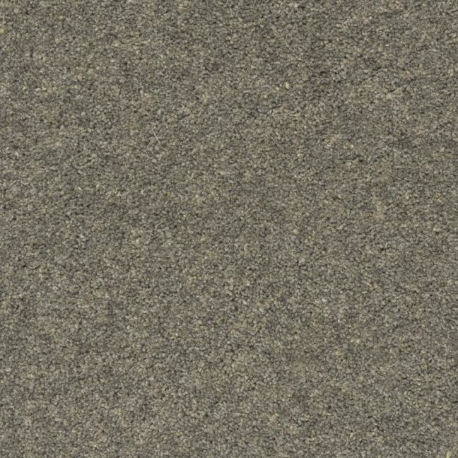 Penthouse Carpets Prism Pumice 40oz Penthouse Carpets Prism Pumice 40oz