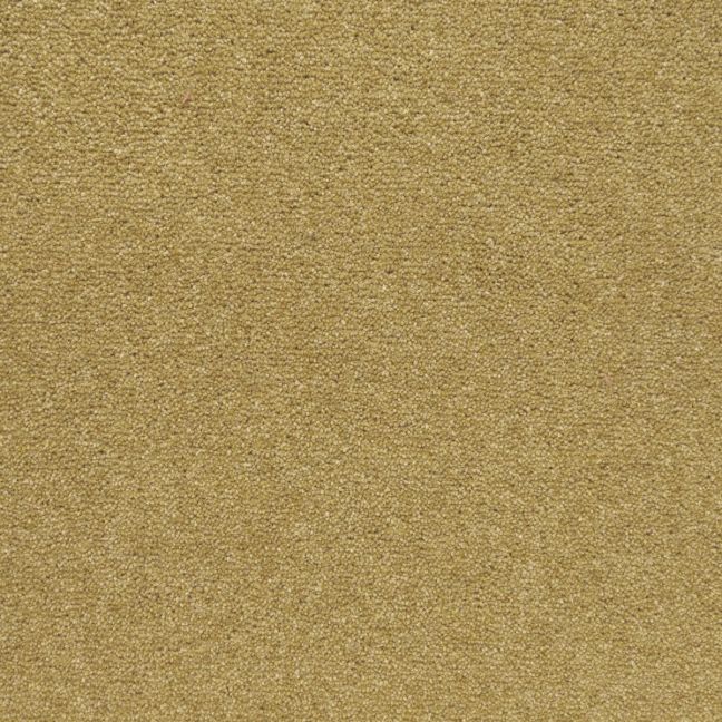 Penthouse Carpets Shoreline Golden Bay 50oz