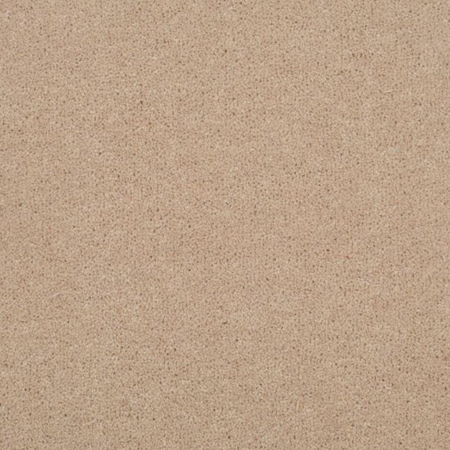 Penthouse Carpets Stratford Ariel 50oz