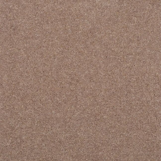Penthouse Carpets Stratford Diana 50oz Penthouse Carpets Stratford Diana 50oz