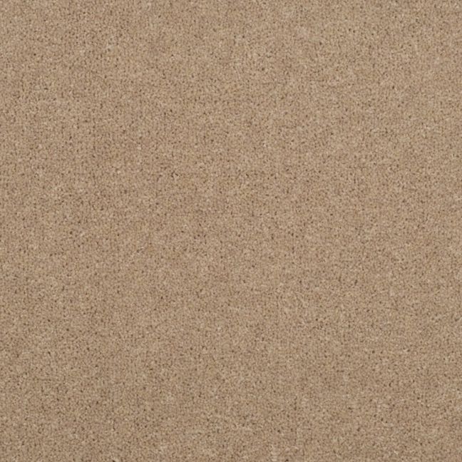 Penthouse Carpets Stratford Eros 40oz