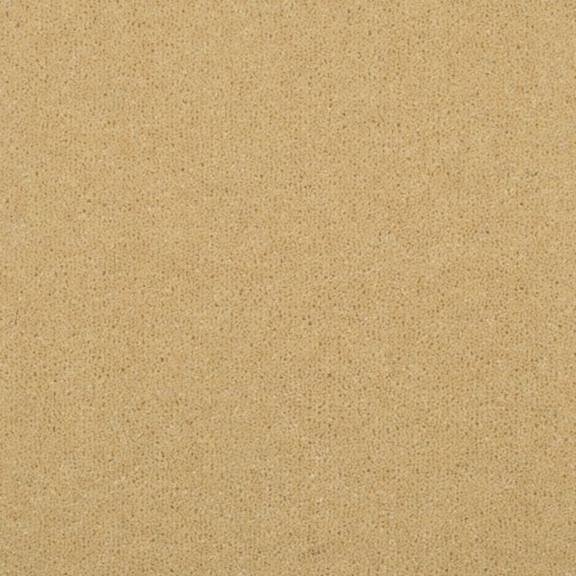 Penthouse Carpets Stratford Juliet 50oz