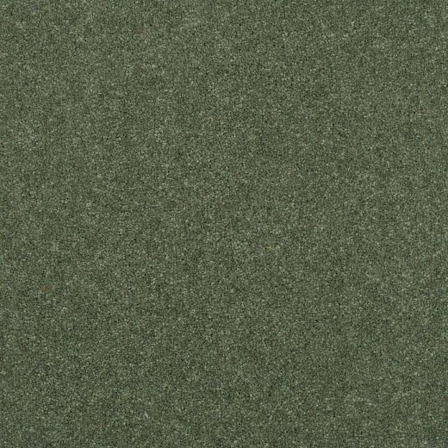 Penthouse Carpets Stratford Nestor 50oz Penthouse Carpets Stratford Nestor 50oz