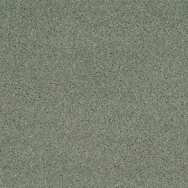 Penthouse Carpets Super Maxim Angelica 40oz Penthouse Carpets Super Maxim Angelica 40oz