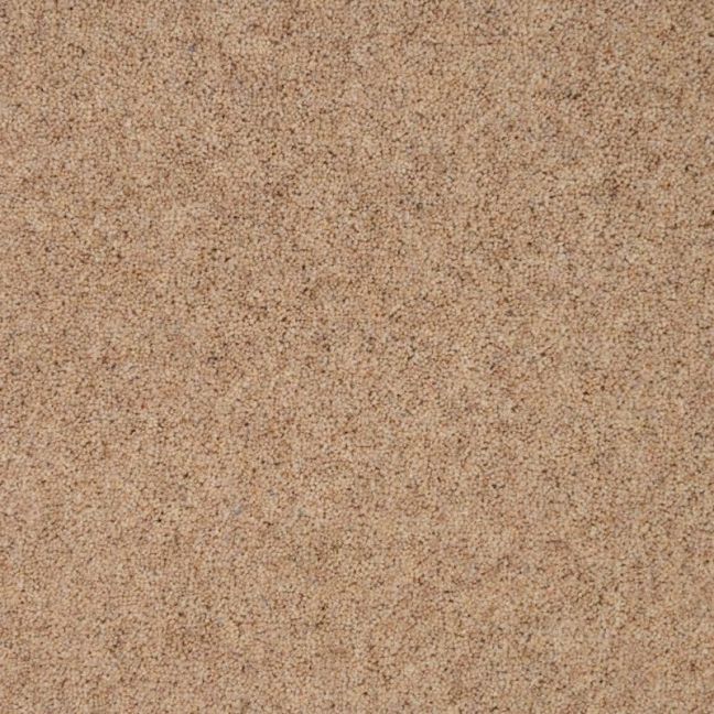 Penthouse Carpets Super Maxim Gravel 40oz