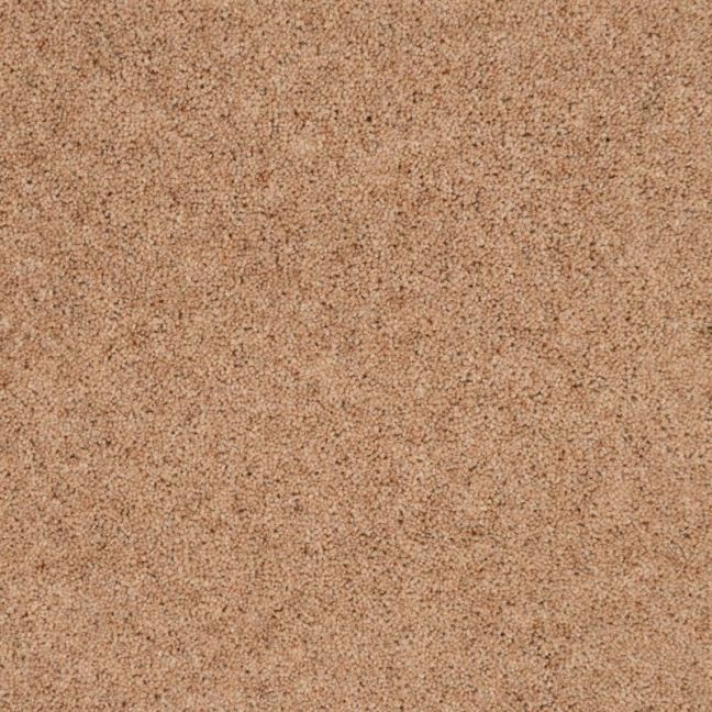 Penthouse Carpets Super Maxim Porcelain 50oz