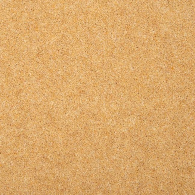 Penthouse Carpets Esprit Nouveau Plover 50oz Penthouse Carpets Esprit Nouveau Plover 50oz