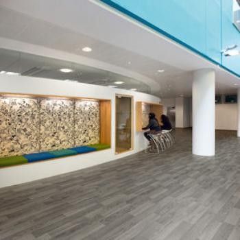 Polyflor Polysafe Wood FX Silver Oak 3357 Polyflor Polysafe Wood FX Silver Oak 3357