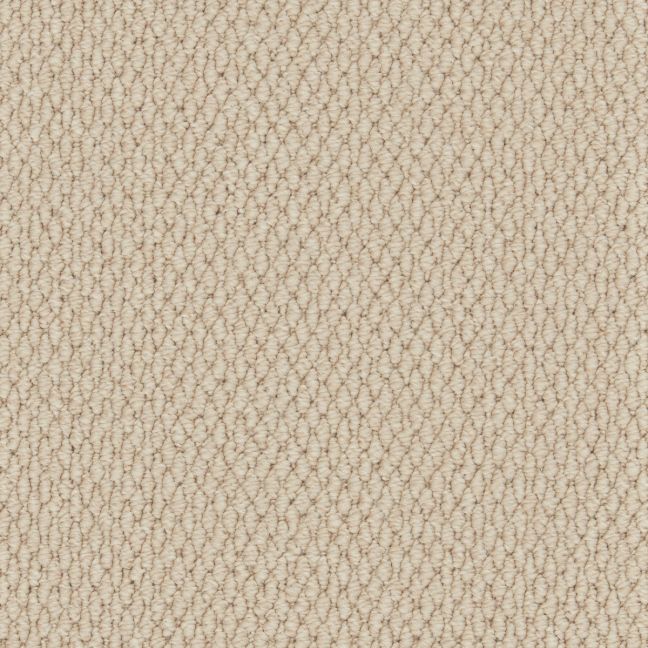 Cormar Carpet Co Primo Textures Canvas