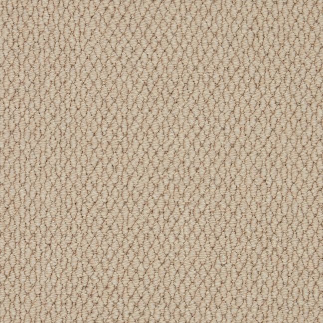 Cormar Carpet Co Primo Textures Chalice Cormar Carpet Co Primo Textures Chalice
