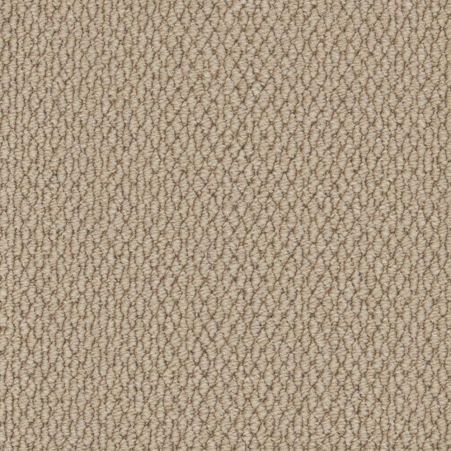 Cormar Carpet Co Primo Textures Elk Cormar Carpet Co Primo Textures Elk