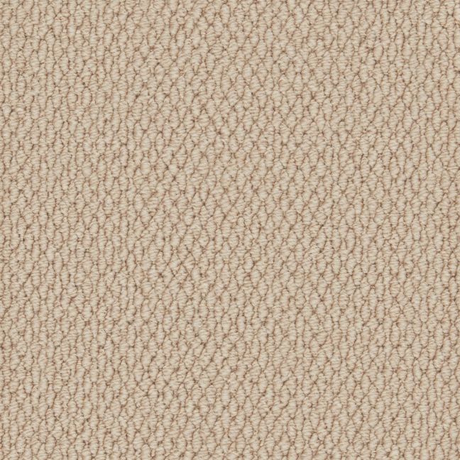 Cormar Carpet Co Primo Textures Tapestry