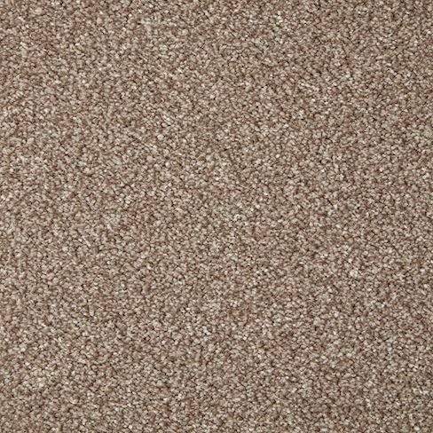 Cormar Carpet Co Primo Grande Beaver Cormar Carpet Co Primo Grande Beaver