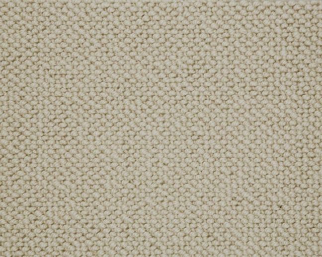 Crucial Trading Pearl Pure Oyster WP102