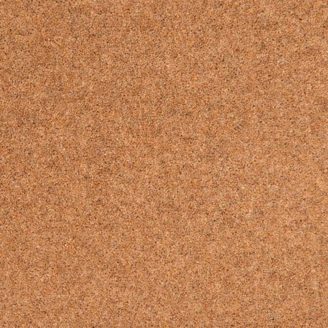 Penthouse Carpets Shoreline Reef 50oz