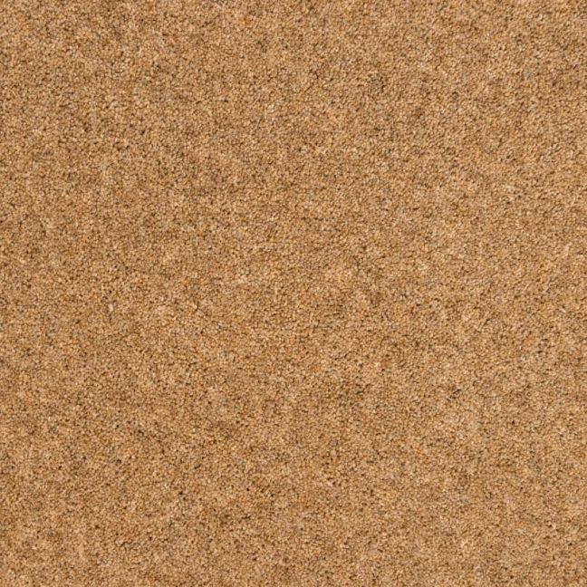 Penthouse Carpets Springtime Romney 50oz Penthouse Carpets Springtime Romney 50oz