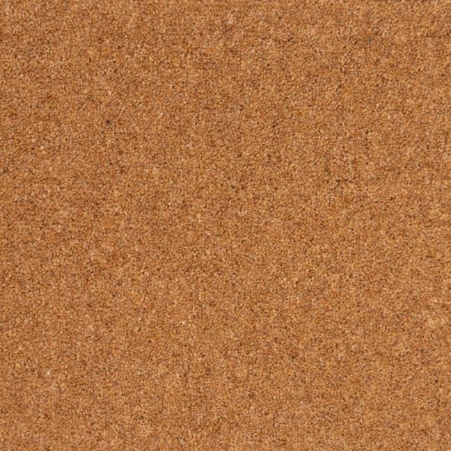 Penthouse Carpets Wentworth Rushmere 50oz