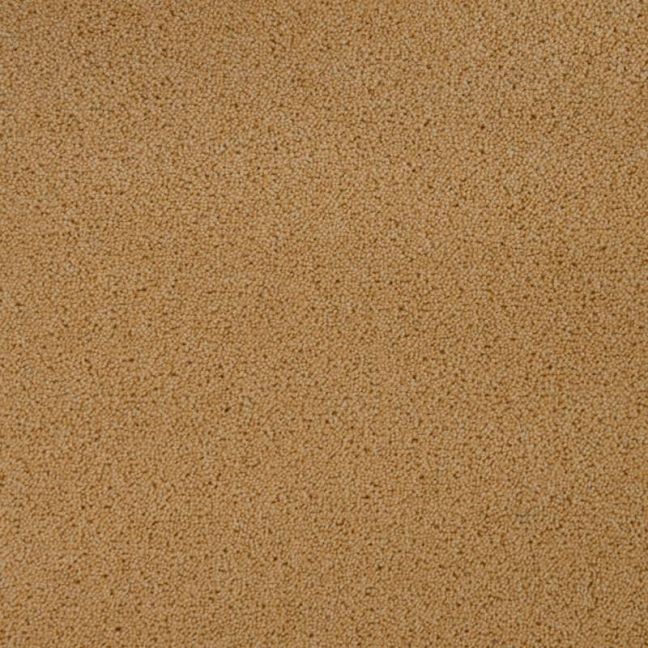 Penthouse Carpets Pentwist Colours Sandcastle 40oz