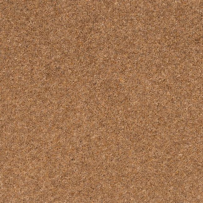 Penthouse Carpets Vermont Sanford 40oz