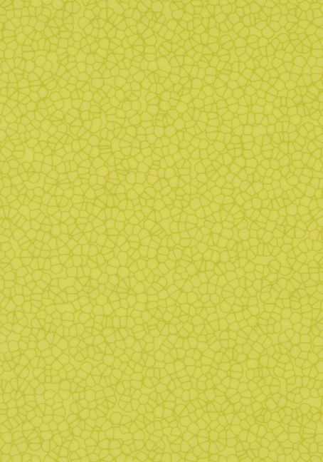 Forbo Modul'up 19 dB Graphic Citrus Halo Contour 90758UP4319 Forbo Modul'up 19 dB Graphic Citrus Halo Contour 90758UP4319