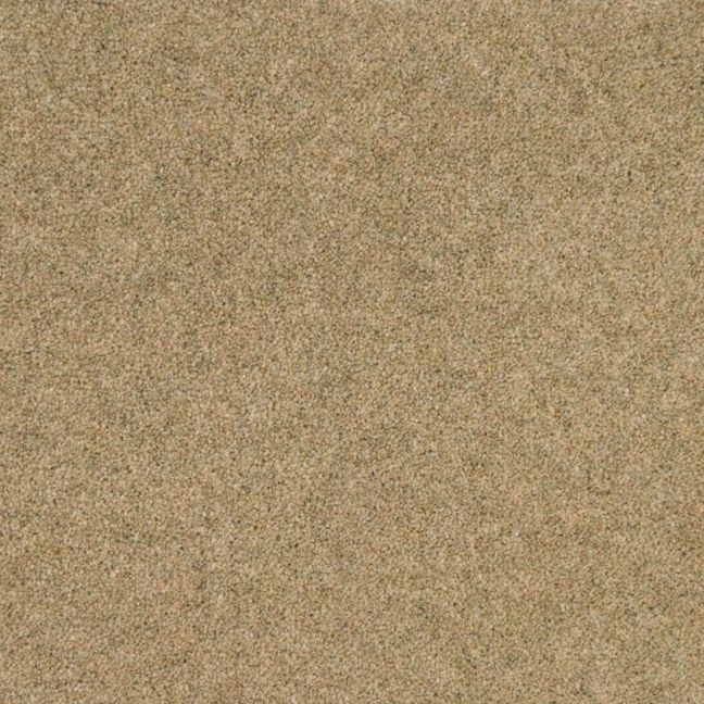 Penthouse Carpets Cumbrian Seathwaite 50oz