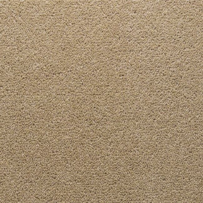 Penthouse Carpets Stateside Seattle 50oz
