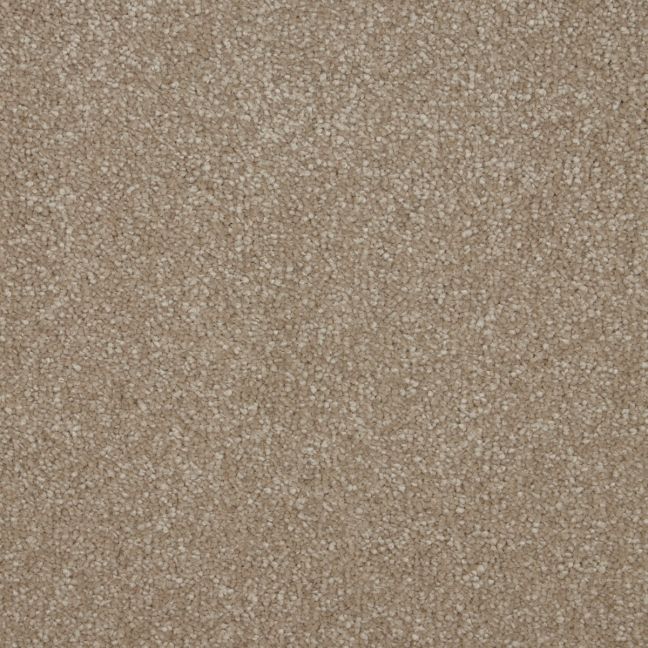 Cambrian Stone Cambrian Stone