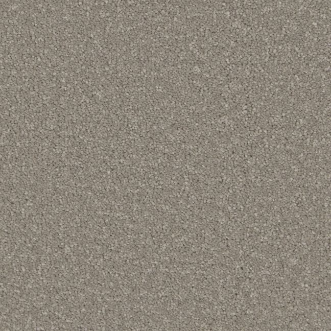 Cormar Carpet Co Ultimate Sensation Greystone Cormar Carpet Co Ultimate Sensation Greystone